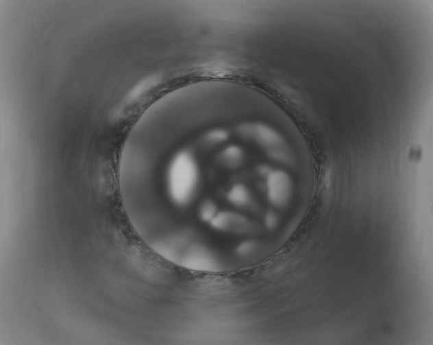 X0000113061446200909110903