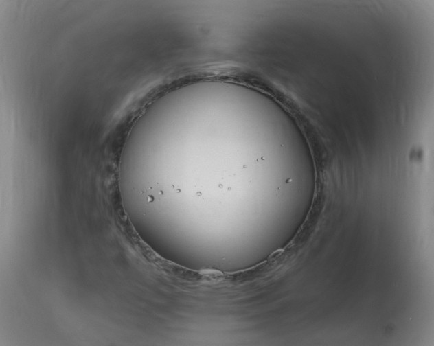 X0000113061447200909110903