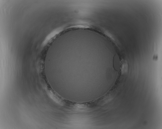 X0000113061448200909110903