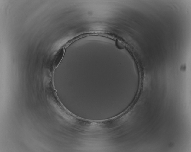 X0000113061449200909110903