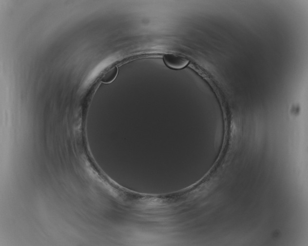 X0000113061450200909110903