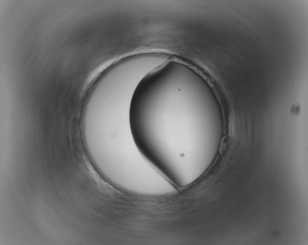 X0000113061452200909110903