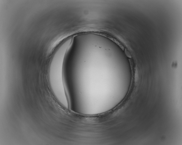 X0000113061453200909110903