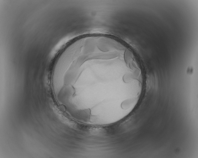 X0000113061454200909110903