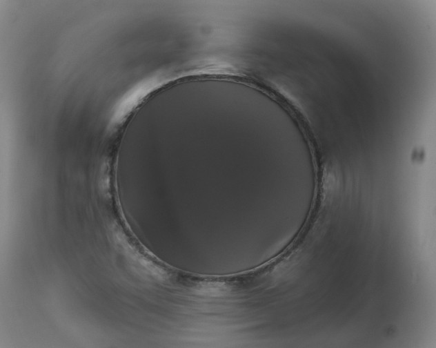 X0000113061455200909110903