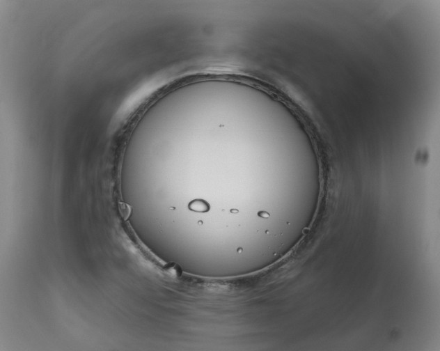 X0000113061456200909110903