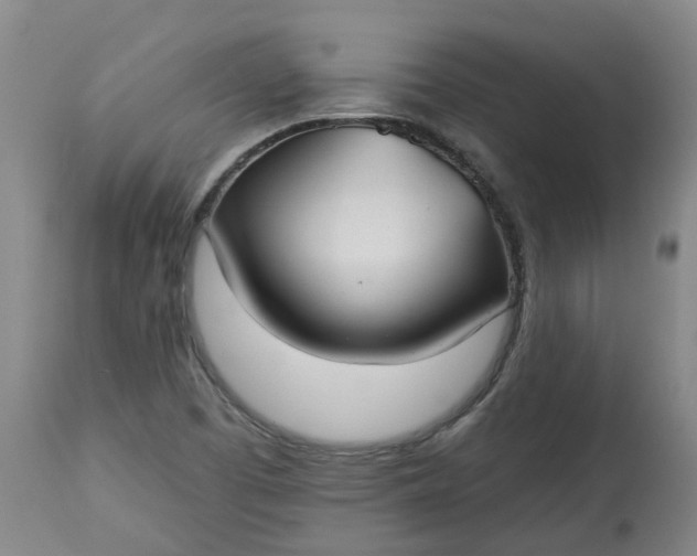 X0000113061457200909110903