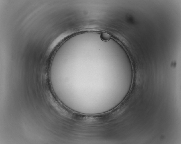 X0000113061458200909110903