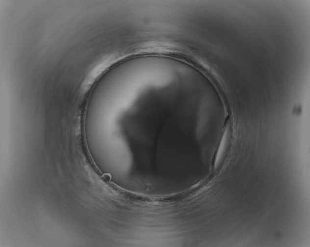 X0000113061459200909110903