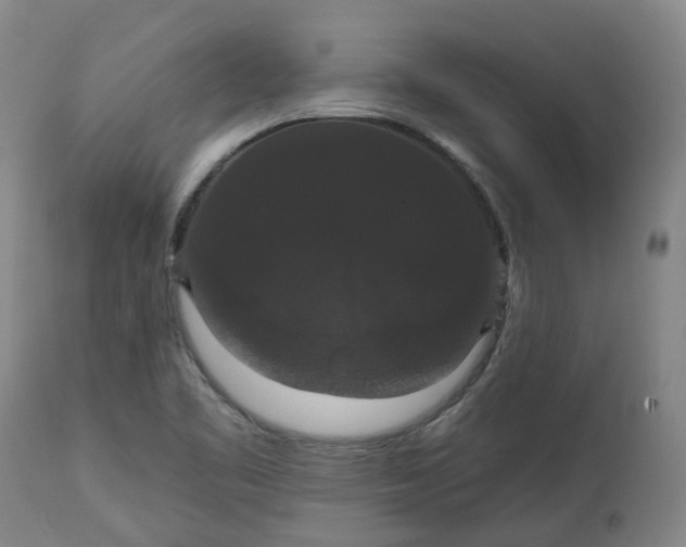 X0000113061461200909110903