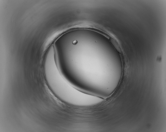 X0000113061464200909110903