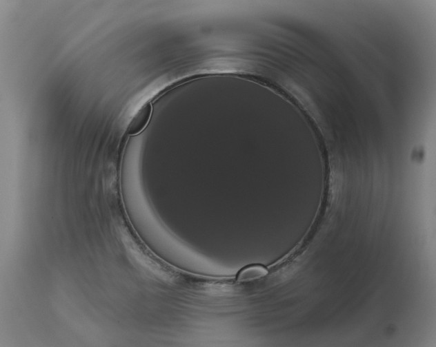 X0000113061465200909110902