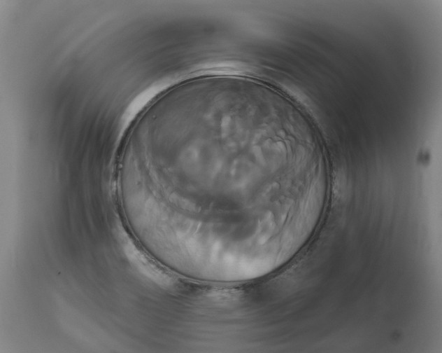 X0000113061466200909110902