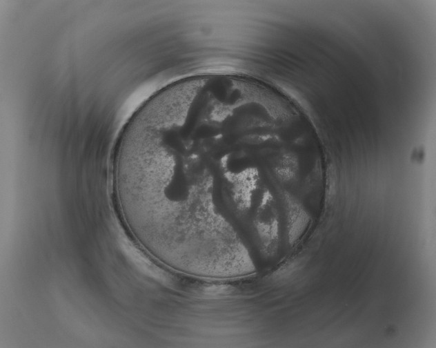 X0000113061467200909110902
