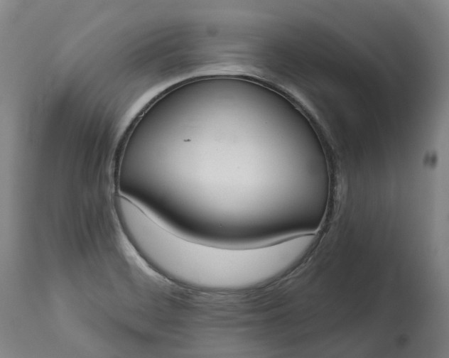 X0000113061468200909110902