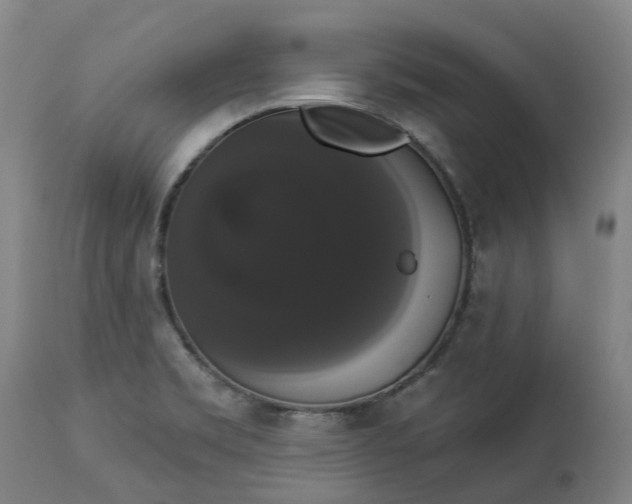 X0000113061469200909110902