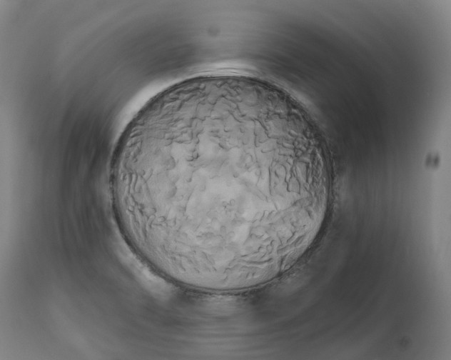 X0000113061470200909110902