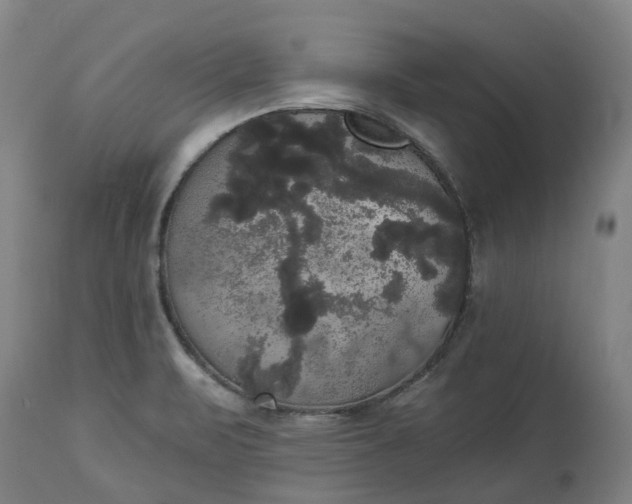 X0000113061471200909110902