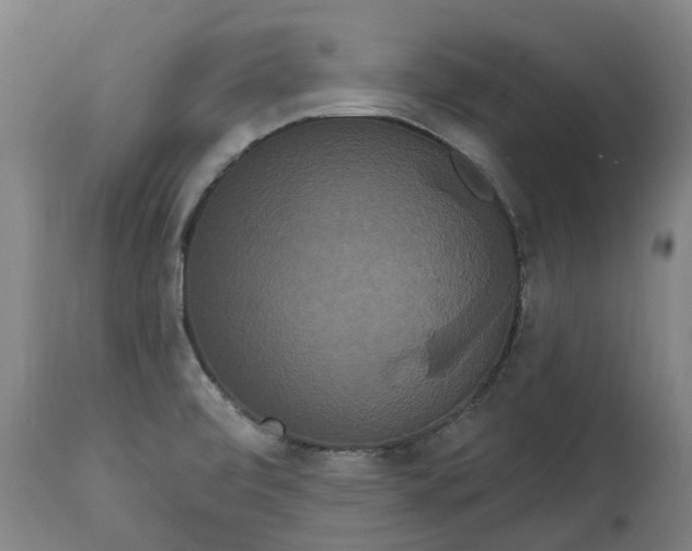 X0000113061472200909110902