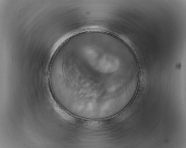 X0000113061474200909110902