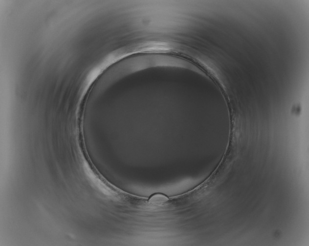 X0000113061475200909110902