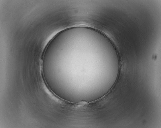 X0000113061476200909110902