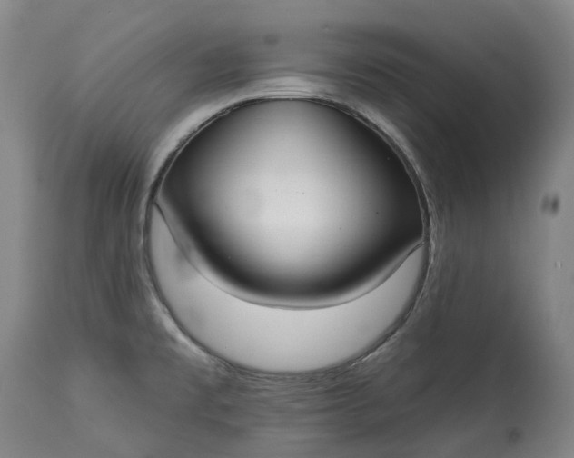 X0000113061477200909110902