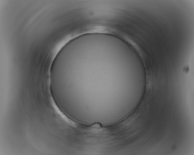 X0000113061479200909110902