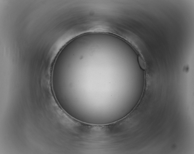 X0000113061480200909110902