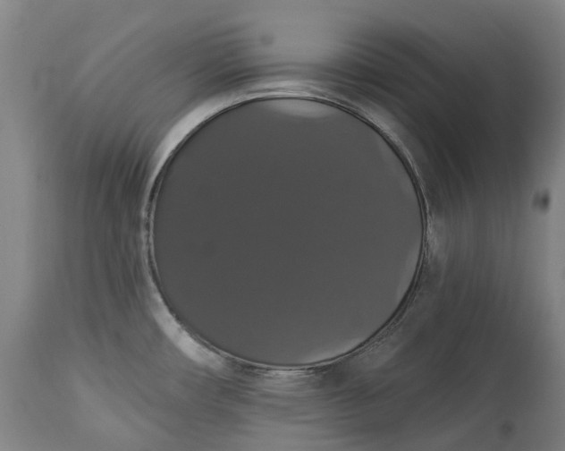 X0000113061482200909110902