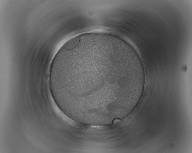 X0000113061483200909110902