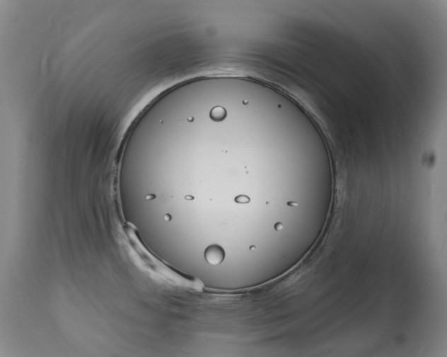 X0000113061484200909110902