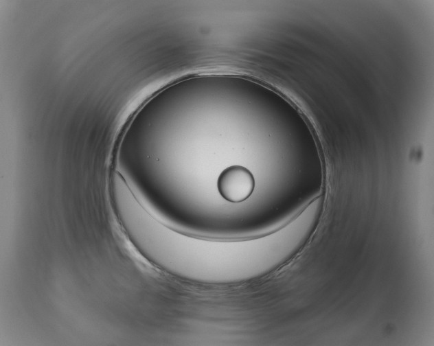 X0000113061485200909110902