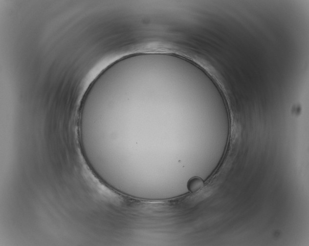 X0000113061486200909110902