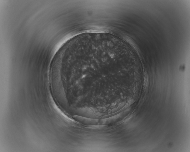 X0000113061487200909110902