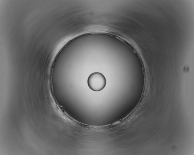 X0000113061488200909110902