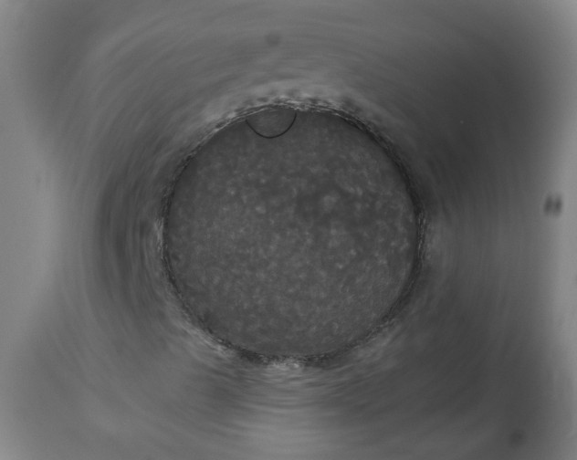 X0000113061489200909110901