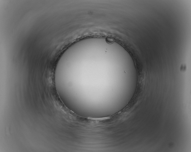 X0000113061490200909110901