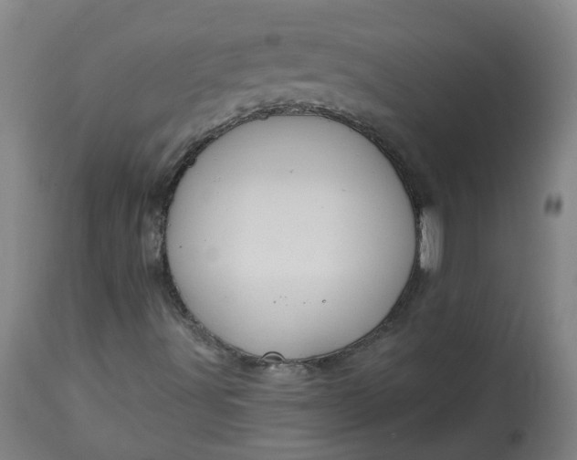 X0000113061491200909110901