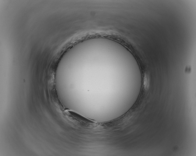 X0000113061492200909110901