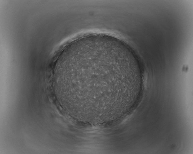 X0000113061494200909110901