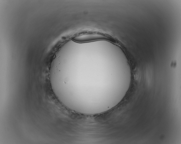 X0000113061495200909110901