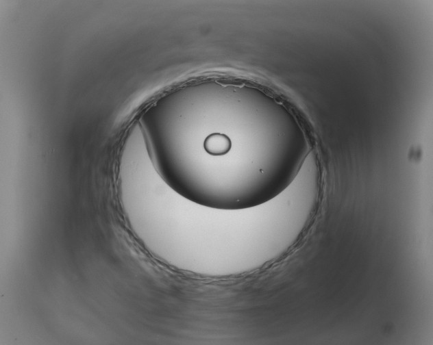X0000113061496200909110901