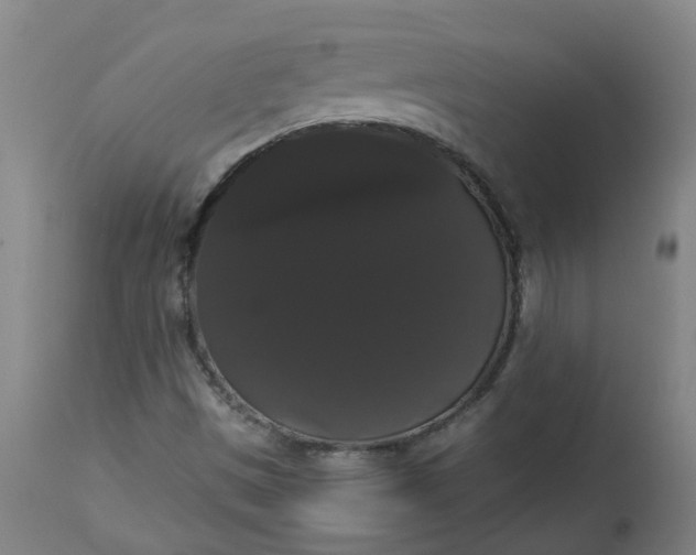 X0000113061497200909110901