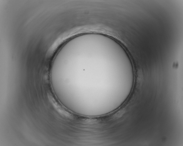 X0000113061499200909110901