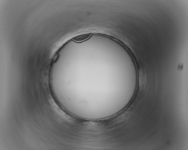X0000113061500200909110902