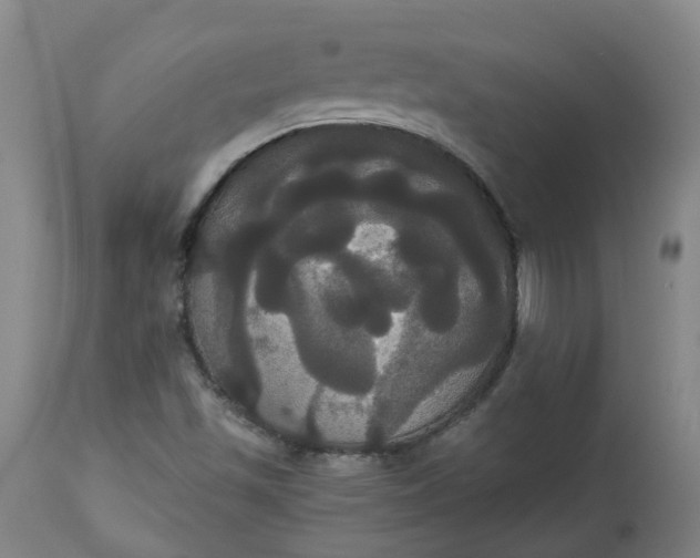 X0000113061501200909110902
