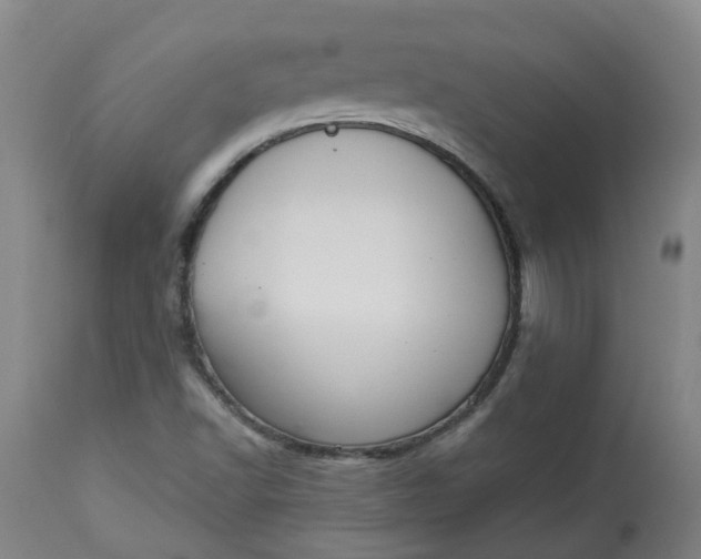 X0000113061502200909110902