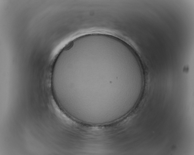 X0000113061504200909110902