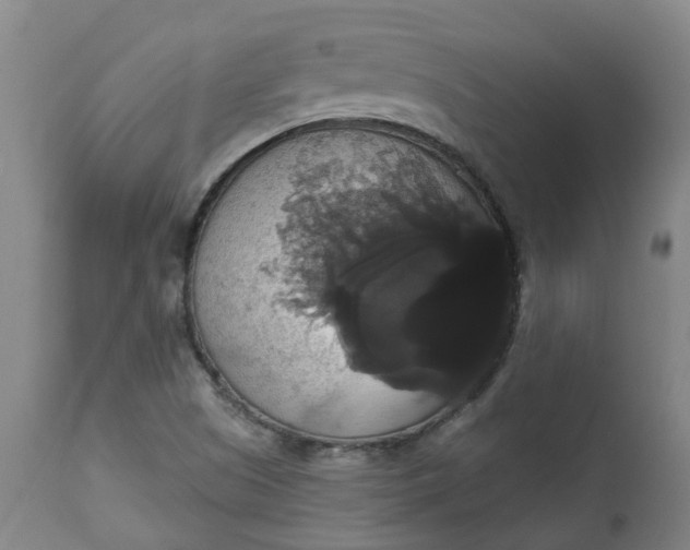 X0000113061505200909110902